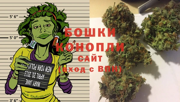 молекула духа Арсеньев