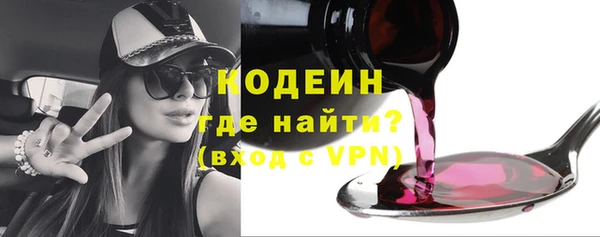 молекула духа Арсеньев