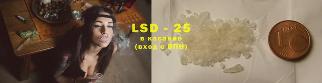 эйфоретик Аркадак
