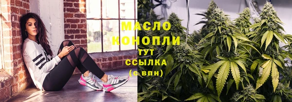молекула духа Арсеньев
