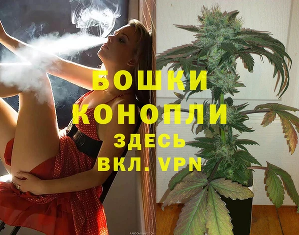 молекула духа Арсеньев